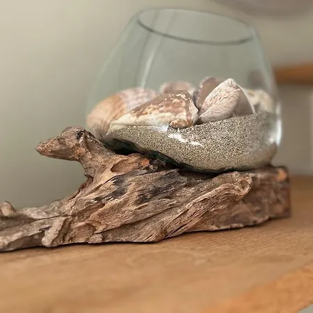 Le Doux Refuge Gujan-Mestras