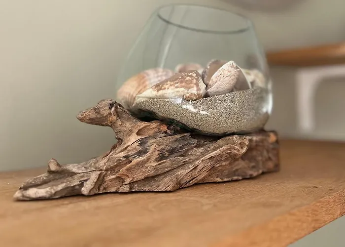 Le Doux Refuge Gujan-Mestras